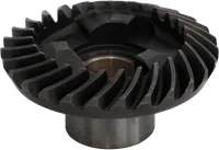 Gear, forward