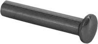 Rivet