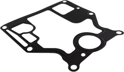 Gasket, engine