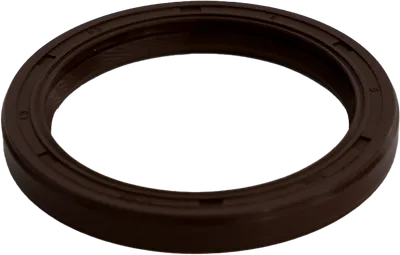 Oil seal b
